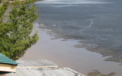 Friday, April 2, 2010