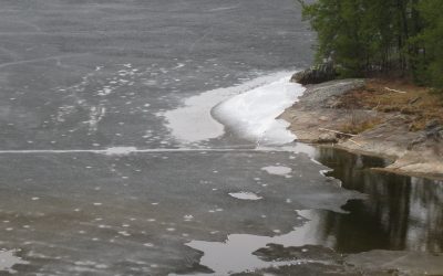 Saturday, April 3, 2010