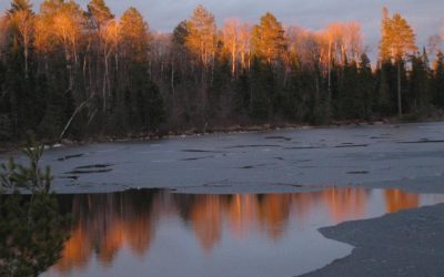 Sunday, April 4, 2010