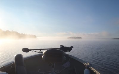 Friday, August 6, 2010