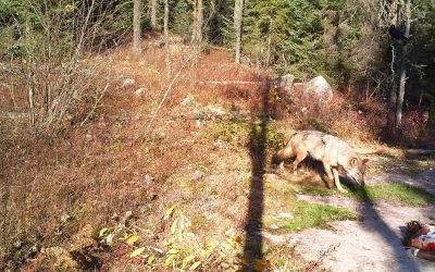 Friday, October 15, 2010