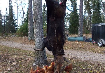 Saturday November 5, 2011