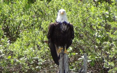 Wednesday June 18, 2014