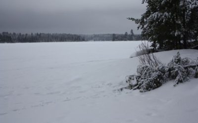 Wednesday January 11, 2012