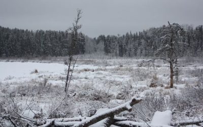 Thursday January 12, 2012