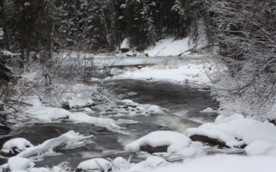 Sunday January 15, 2012