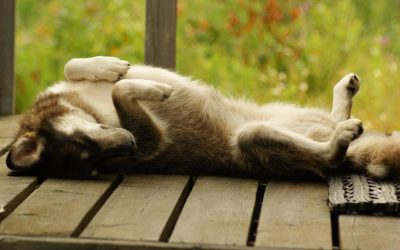 Friday, July 30, 2010