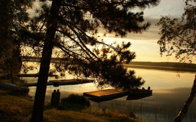 Wednesday, August 4, 2010