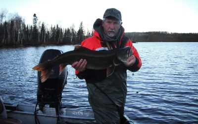 Saturday, November 6, 2010