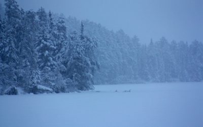 Tuesday January 29, 2013