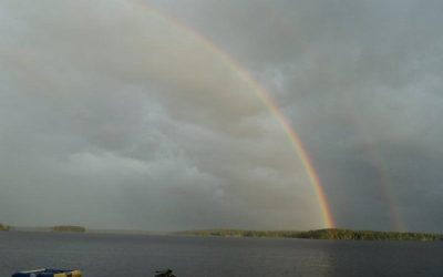 Sunday, July 25, 2010