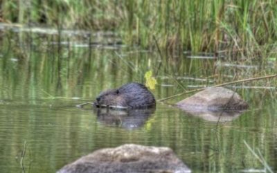 Saturday September 24, 2011