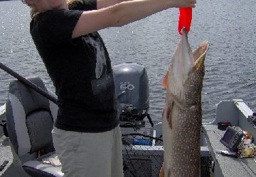 Saturday, September 18, 2010