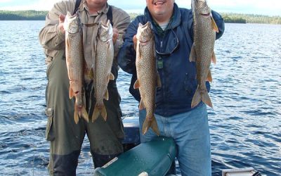 Sunday, June 13, 2010