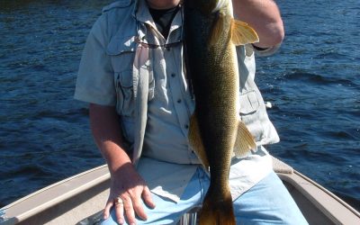 Sunday June 15, 2014