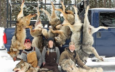 Friday January 10, 2014