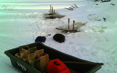 Sunday January 13, 2013