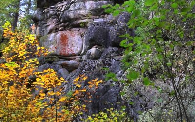 Friday October 19, 2012