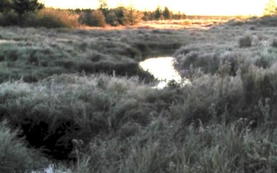 Saturday September 22, 2012