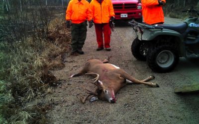 Tuesday November 20, 2012