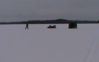 Tuesday, January 12, 2010