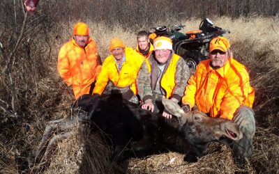 Friday November 4, 2011