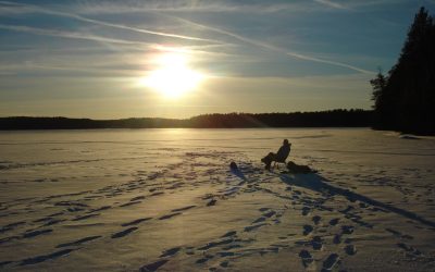 Saturday, March 6, 2010