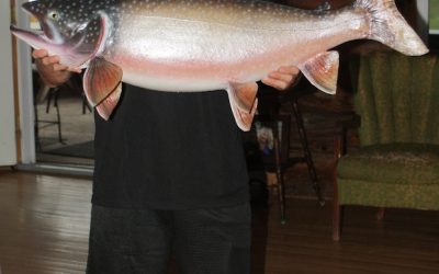 Friday June 28, 2013