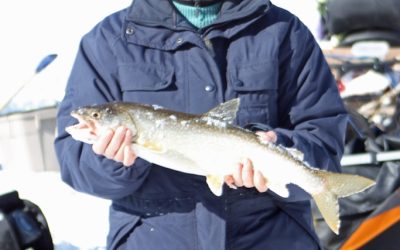 Saturday September 6,2014