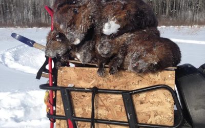 Friday February 7, 2014