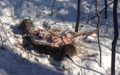 Saturday February 8, 2014