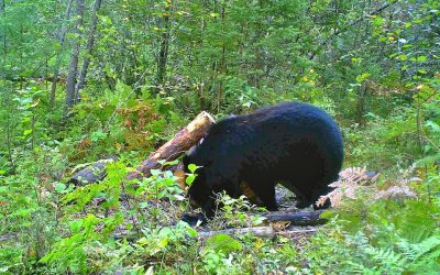 Tuesday August 28, 2012