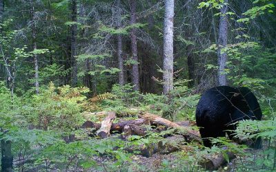 Saturday August 30, 2014