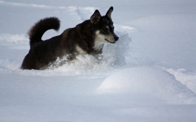 Thursday February 14, 2013