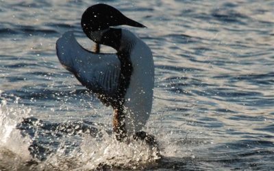 Wednesday, July 7, 2010