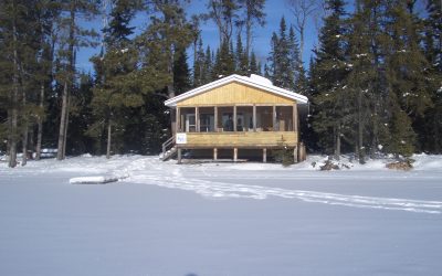 Saturday, January 23, 2010