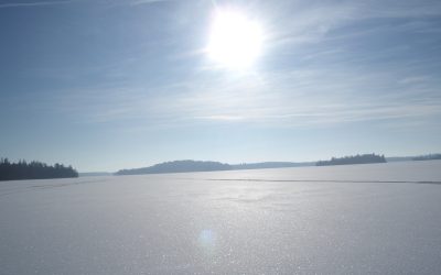 Monday, January 18, 2010