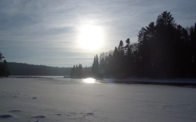 Saturday, January 16, 2010