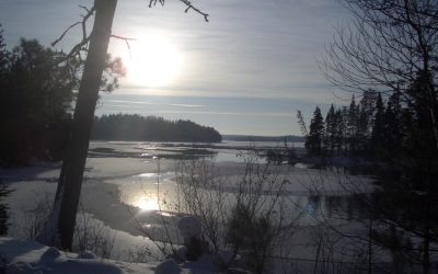 Friday, January 15, 2010