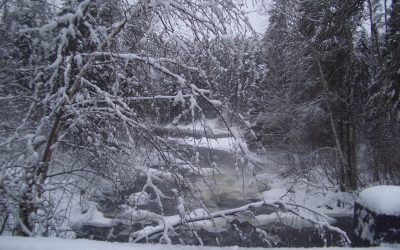 Thursday, January 28, 2010