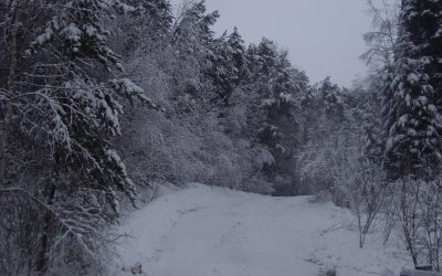 Thursday, February 4, 2010