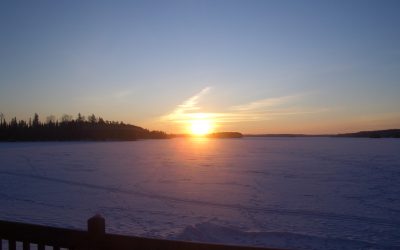 Saturday, February 6, 2010