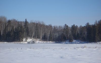 Monday, February 8, 2010