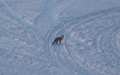 Friday, February 12, 2010