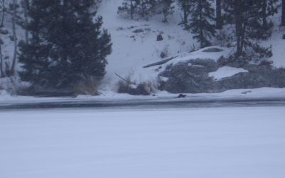 Monday, February 15, 2010