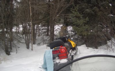 Wednesday, February 17, 2010