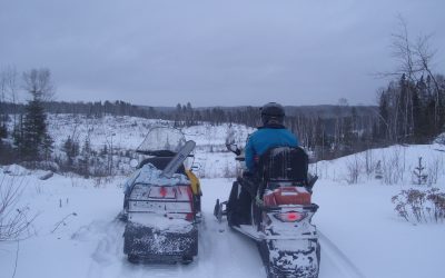 Tuesday, February 16, 2010