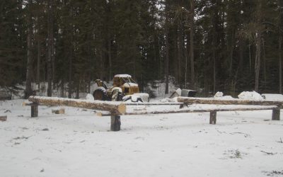 Friday, February 19, 2010