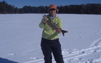 Tuesday, March 2, 2010