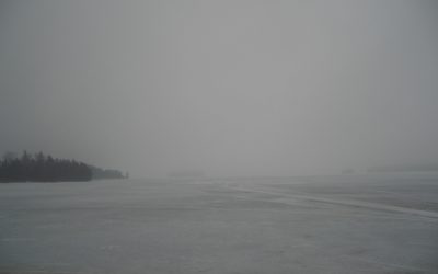 Saturday, March 13, 2010